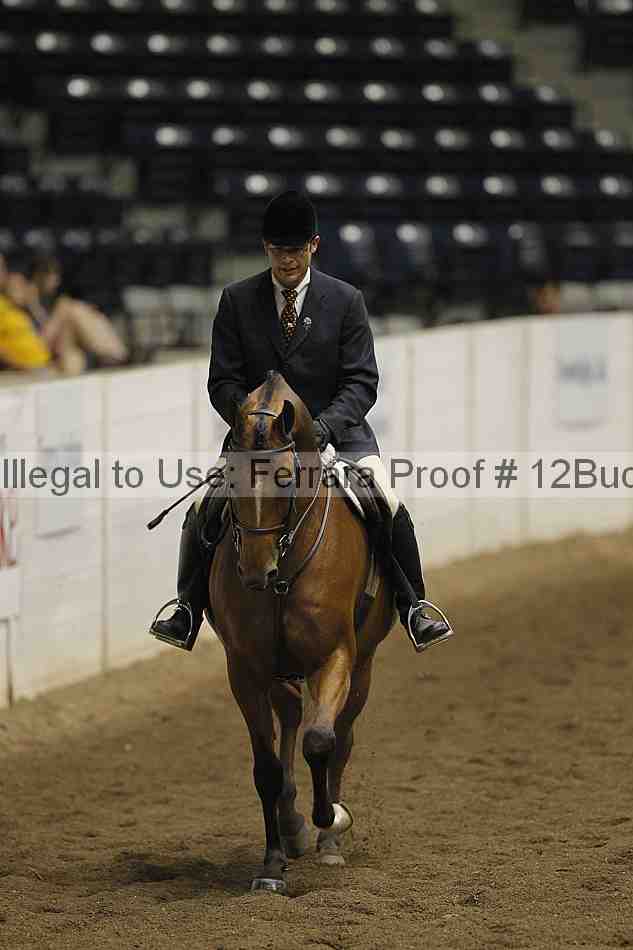 Proof 12buck_4914