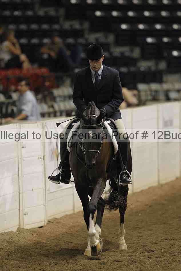 Proof 12buck_4917