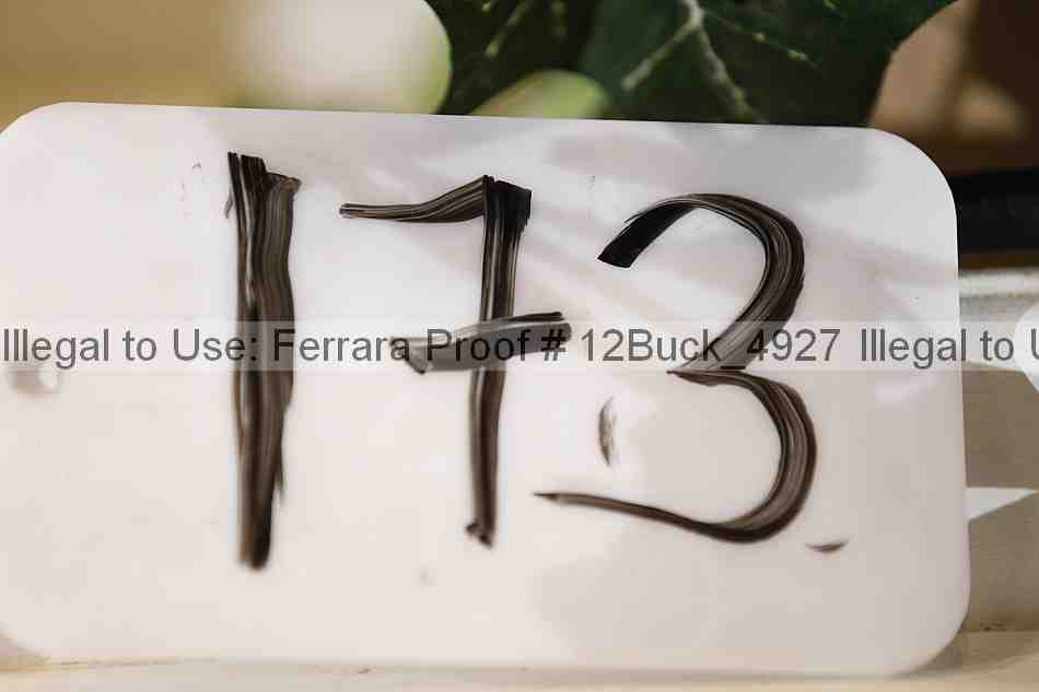 Proof 12buck_4927