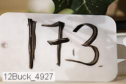 12buck_4927 proof