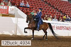 12buck_4934 proof