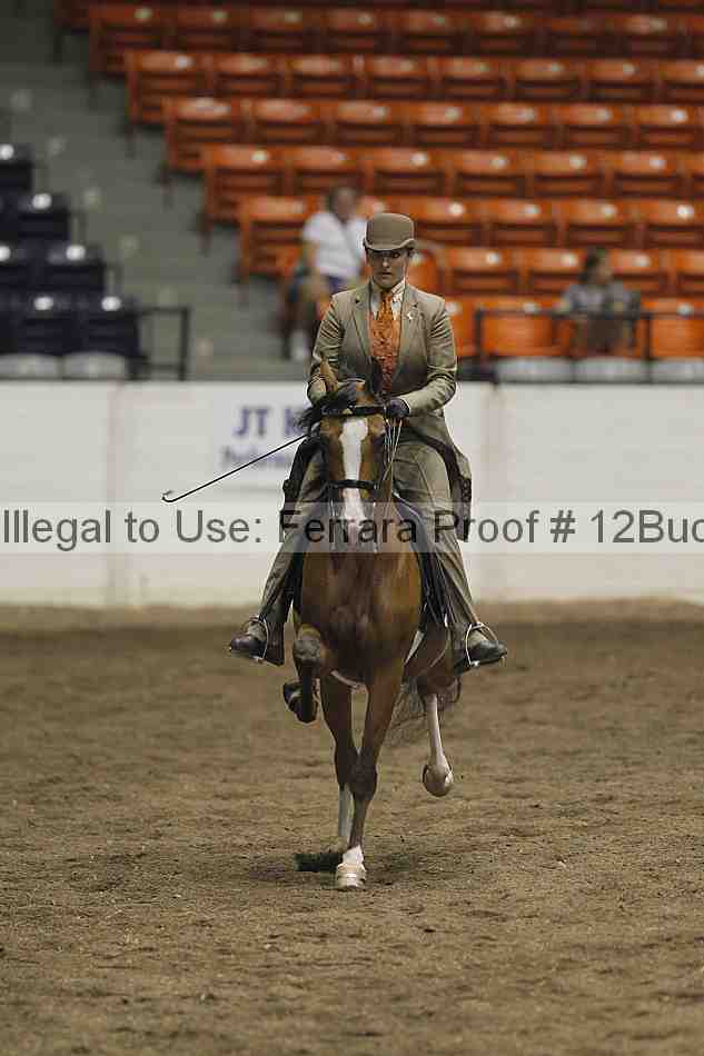 Proof 12buck_4935