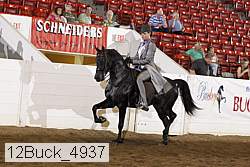 12buck_4937 proof