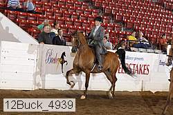 12buck_4939 proof