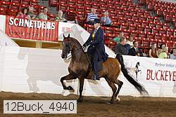 12buck_4940 proof