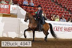 12buck_4947 proof