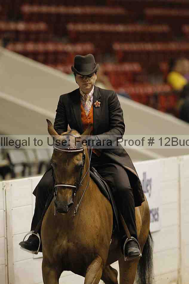 Proof 12buck_4959