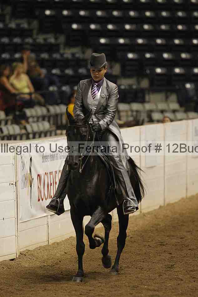 Proof 12buck_4965