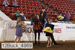 12buck_4969 proof