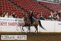 12buck_4975 proof