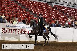 12buck_4977 proof