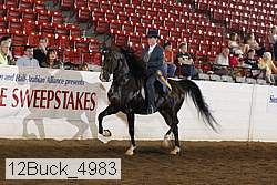 12buck_4983 proof