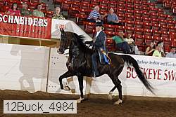 12buck_4984 proof