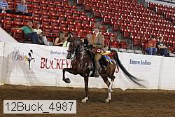 12buck_4987 proof
