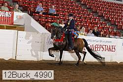 12buck_4990 proof