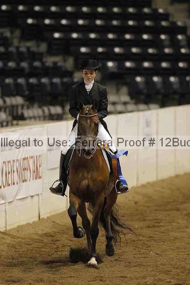 Proof 12buck_5744