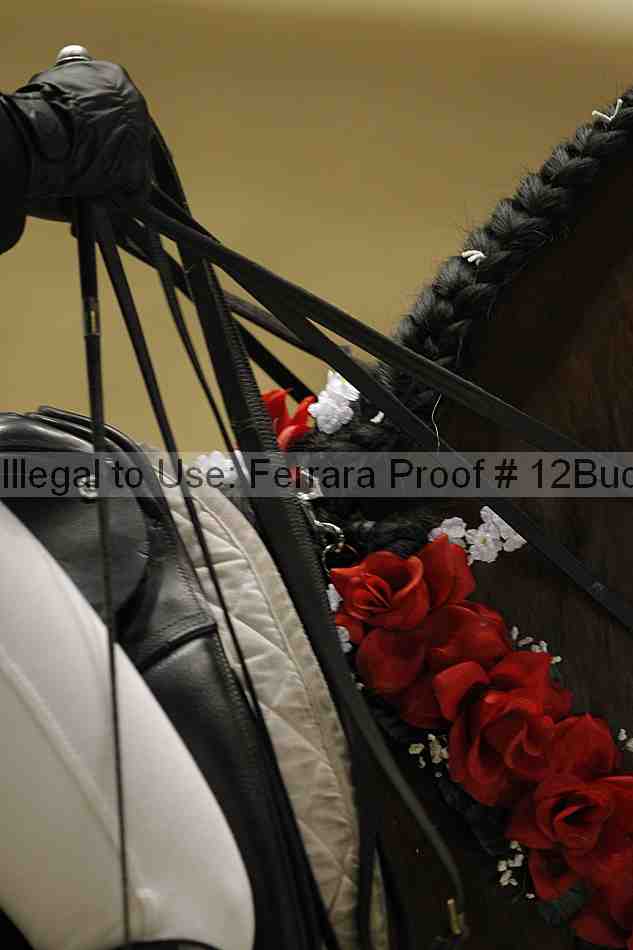 Proof 12buck_5754