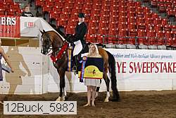 12buck_5982 proof