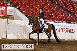 12buck_5984 proof