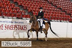 12buck_5985 proof