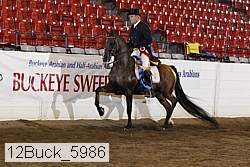 12buck_5986 proof