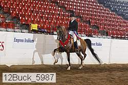 12buck_5987 proof