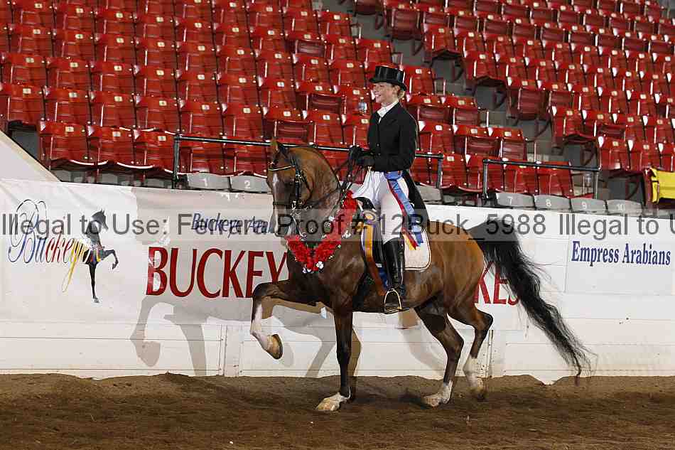 Proof 12buck_5988