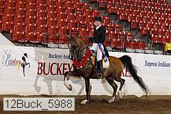 12buck_5988 proof