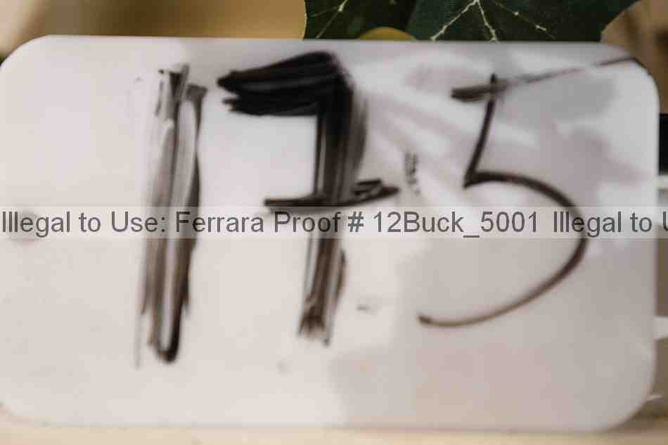 Proof 12buck_5001