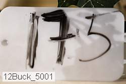 12buck_5001 proof