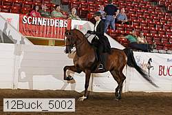 12buck_5002 proof
