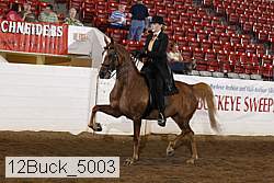 12buck_5003 proof
