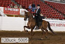 12buck_5005 proof