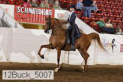 12buck_5007 proof