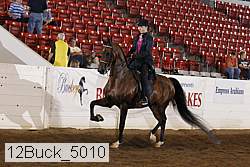 12buck_5010 proof