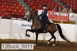 12buck_5011 proof