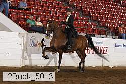 12buck_5013 proof