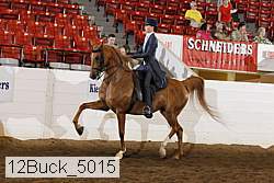 12buck_5015 proof