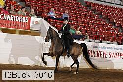 12buck_5016 proof