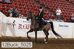 12buck_5025 proof