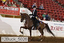 12buck_5026 proof