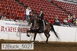 12buck_5027 proof