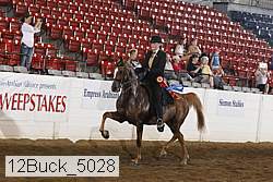 12buck_5028 proof