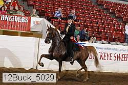 12buck_5029 proof