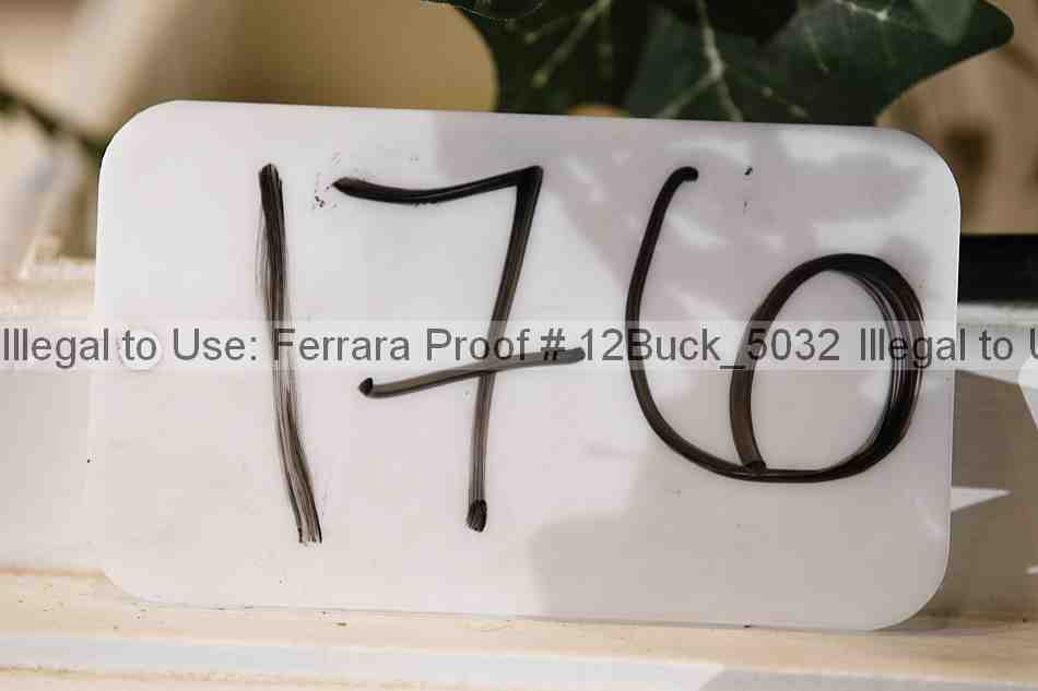 Proof 12buck_5032
