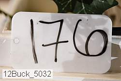 12buck_5032 proof