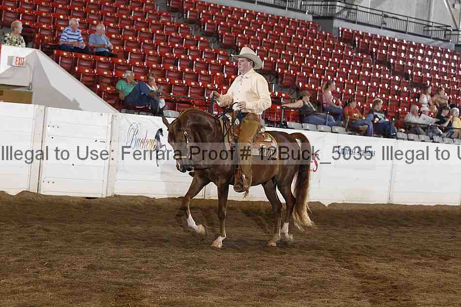 Proof 12buck_5035