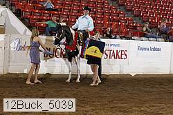 12buck_5039 proof