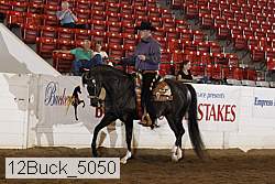 12buck_5050 proof
