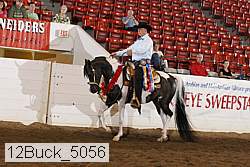 12buck_5056 proof